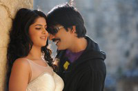 Nippu Latest Gallery